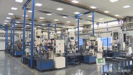 中國鎢業(yè)協(xié)會(huì)硬質(zhì)合金分會(huì)代表大會(huì)在株洲召開