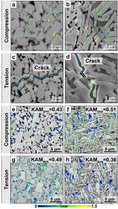 北京工業(yè)大學(xué)研究揭示硬質(zhì)相晶粒形態(tài)對(duì)應(yīng)力應(yīng)變分布和力學(xué)性能的關(guān)鍵影響